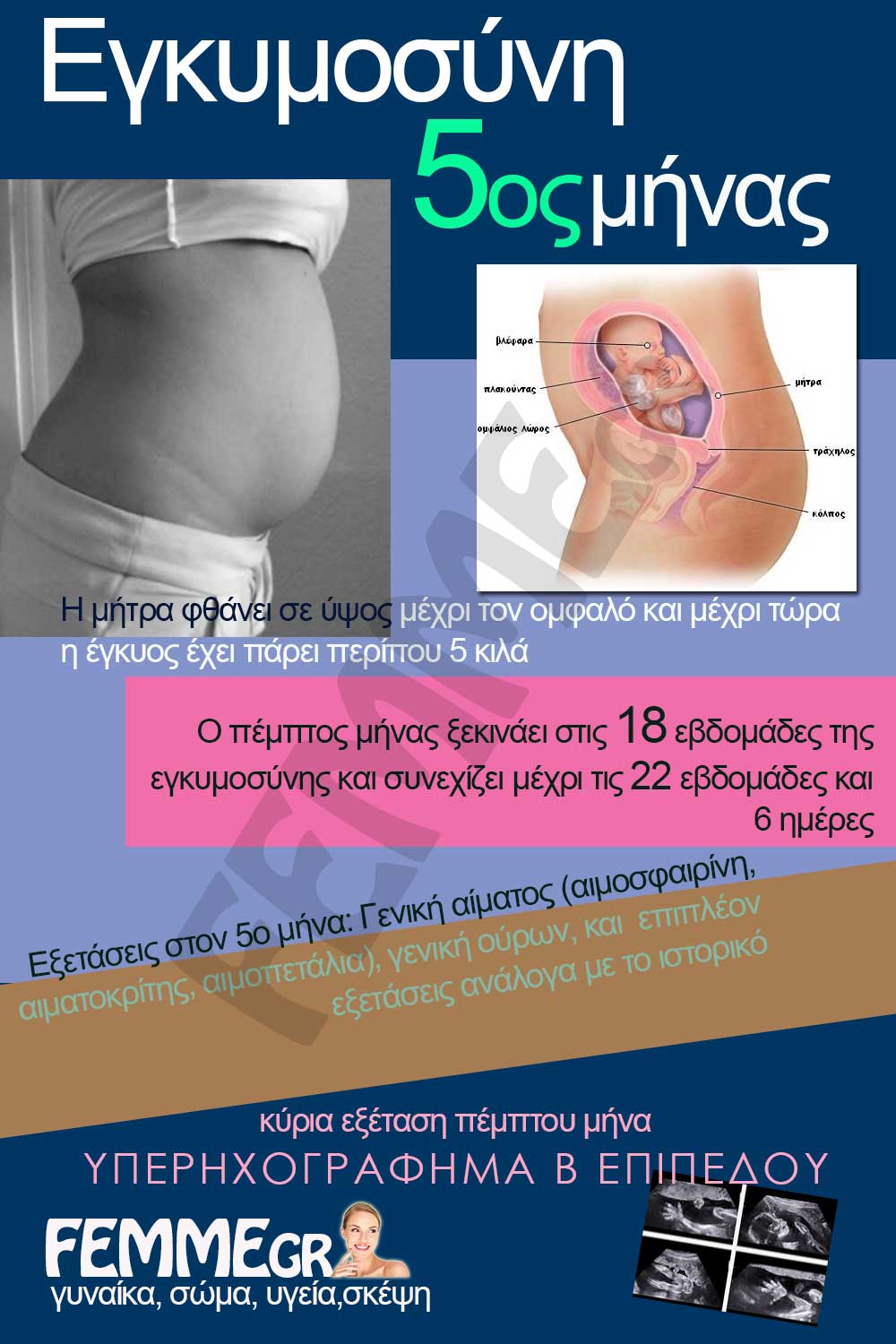 5ος μήνας εγκυμοσύνης, infographic in greek